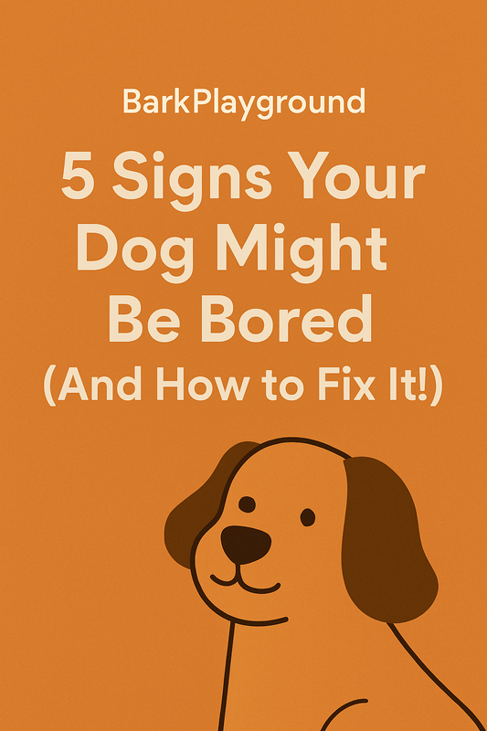 The 5 Signs Your Dog Might Be Bored (And How to Fix It!)