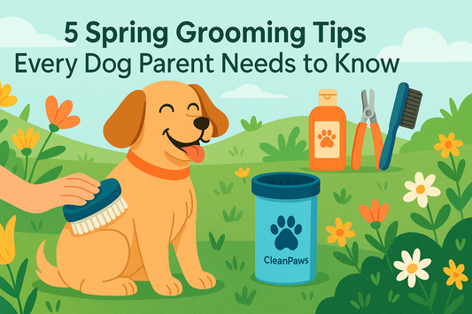 5 Spring Grooming Tips Every Dog Parent Needs to Know