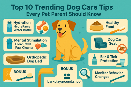 Top 10 Trending Dog Care Tips You Need to Know in 2025
