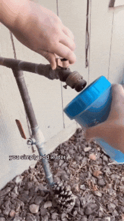 CleanPaws™ Dog Paw Cleaner