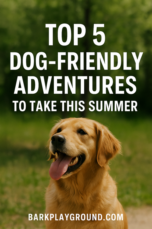 Top 5 Dog-Friendly Adventures to Take This Summer