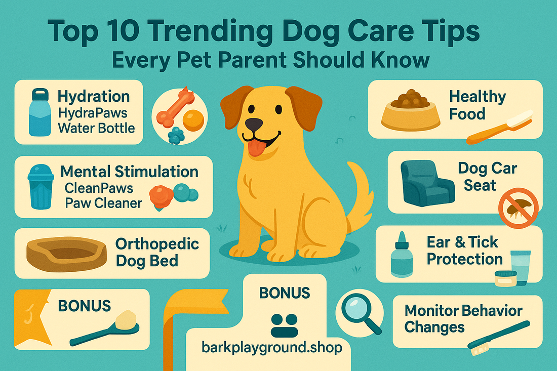 Top 10 Trending Dog Care Tips You Need to Know in 2025