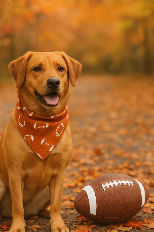 Game Day with Dogs: Tips for a Pet-Friendly Football Season 🏈🐶
