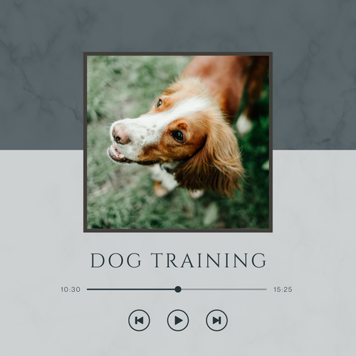 10 Essential Tips for First-Time Dog Owners