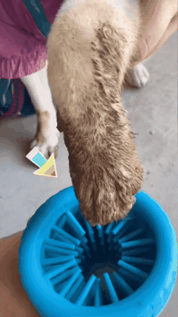 CleanPaws™ Dog Paw Cleaner Cup